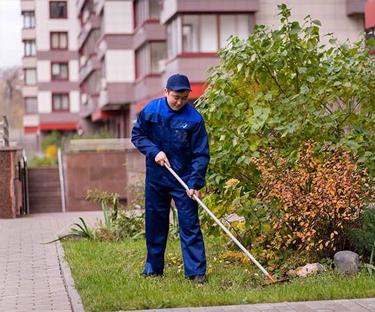 Уборка территории в Воронеже и  Воронежской области